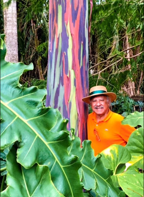 Rainbow Eucalyptus with Pablo